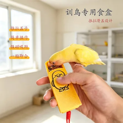 Magnetic bird training food box, parrot food reward tool, convenient for taking out, professional training and interaction