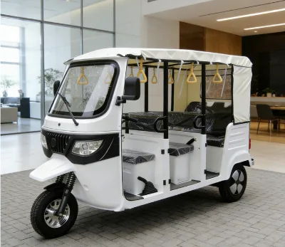 China Manufacturer Factory EEC Electric Tricycle Sightseeing Vehicle Tricycles 6 Seats 2 Rows E Trike