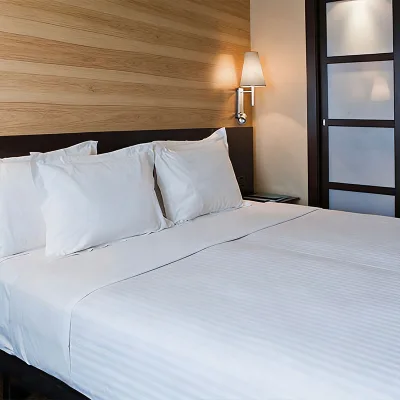 High Quality Anti Dust Mite Stripe Bedding Set Wrinkle Resistant Microfiber Bed Sheet Set