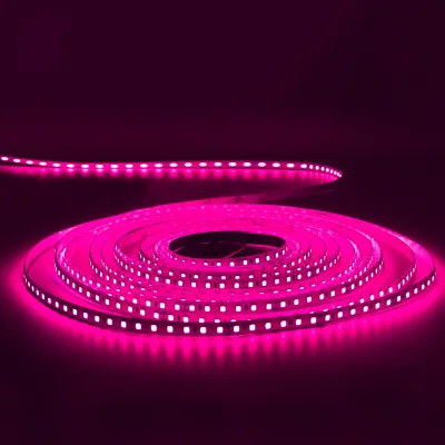 Super Bright RGB LED Strip Light CE/Rohs Approved 24V/12V SMD 2835 High Density 120LEDs/M for Clubs Bars Entertainment Venues