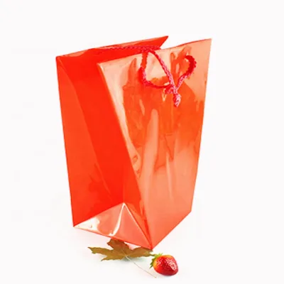 Plant Plastic Flower Bags with Cotton Rope Handled /Plastic Transparent Carrier Flower Packaging Bags