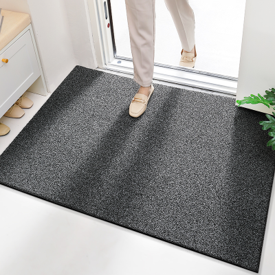 New Modern Style Entrance Dust-Proof and Anti Slip Scraping Mud Floor Mat
