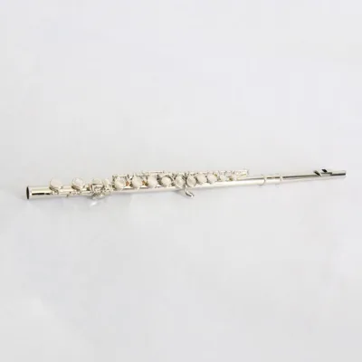 Popular Good Quality Professional New Type Style High Grade Hot Sale Kids Wind Instrument Classical Student Copper Nickel Flutes