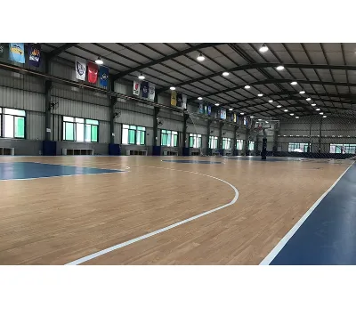 50m*80m Size Outdoor and Indoor Steel Structure Stadium and Gym for Football and Basketball Activities in South Africa