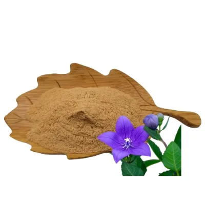 Platycodon Extract Platycodon Grandiflorum Extract High Quality Platycodon Extract