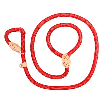 Hot Selling P Chain Reflective Padded Handle Dog Leash Set with Quick Release High Quality Nylon/Polyester for Dogs & Cats