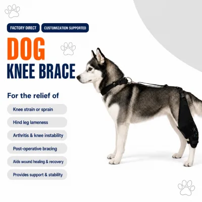 Professional Breathable Lining Segmented Hook Loop Dog Knee Brace Pet Knee Instability Arthritis Healing Leg Sleeve