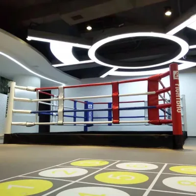 Popular Folding Boxing Ring FOLDABLE BOXING RING for Export