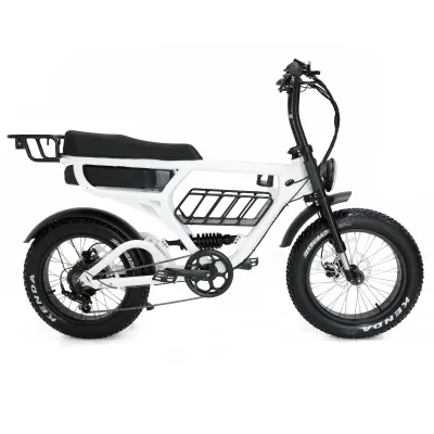 Fat Tire E-Bike20 Inch Kenda Wide Tire Full Suspension With Front Basket Rear Rack Removable Lithium Battery for Commute Offroad