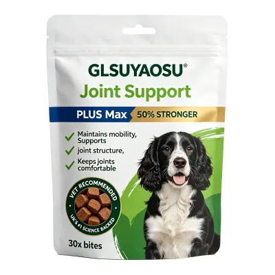 Custom OEM Pet Joint Support Soft Chewable for Dogs Containing Glucosamine Chondroitin Green-Lipped Mussel MSM OEM/ODM