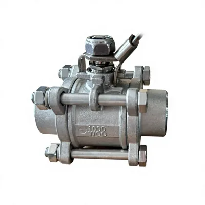Stainless Steel BSP Thread Three-Piece Manual Ball Valve DN25 for Water and Gases