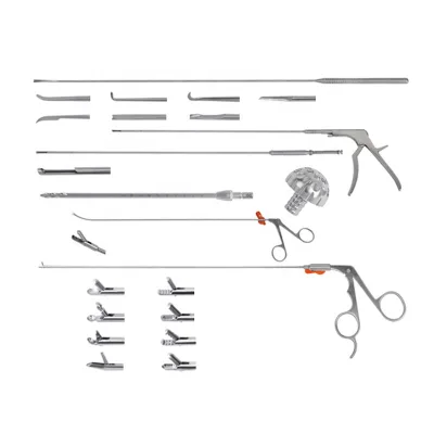 Reusable Orthopedic Intervertebral Foramen Instrument Set for Spinal Surgery Is Used with Working Cannula, Forceps and Dilator.