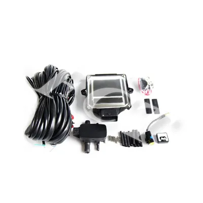 Italy Aeb Cng Gas lpg Standalone Engine Part Reducer Obd Ecu Chip Kit Car Glp Kit 56pin 6 Cylinder 8 Cyl Auto Conversion Kits