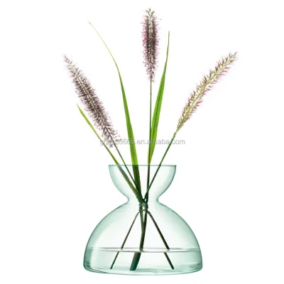 2026 Clear Glass Vases Planter Hydroponic Flower Vase for Home Decor Hydroponic Plant Flower Decoration Vase