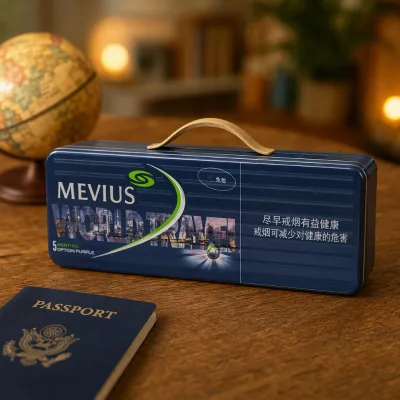 Wholesale High Quality Recyclable Cigarette Box with Plastic Handle Gift Tin Box