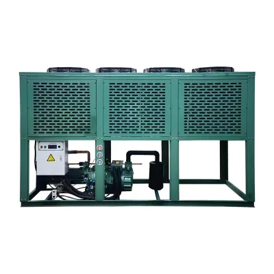High Quality Green Cold Storage Refrigeration Unit with Pump Factory Direct Sales at a Good Price Condensing Unit