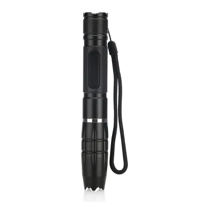 USA Popular Long Range Rechargeable 450nm Blue Laser Pen with Glass Lens No Lens Burnt