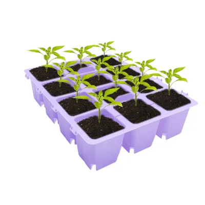 Durable Reusable 12 Cells Per Seed Starter Trays PP Plastic Sprouter Plant Nursery Trays