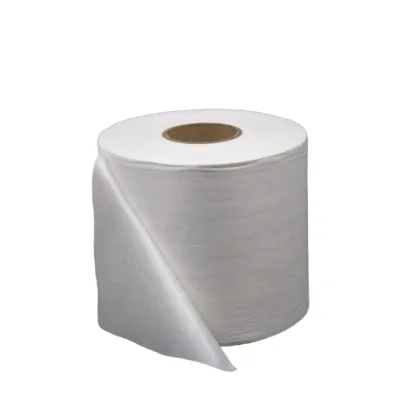 Competitive Price Eco-friendly Nonwoven 100% Polyester Plain Disposable Spunlace Nonwoven Fabric Roll
