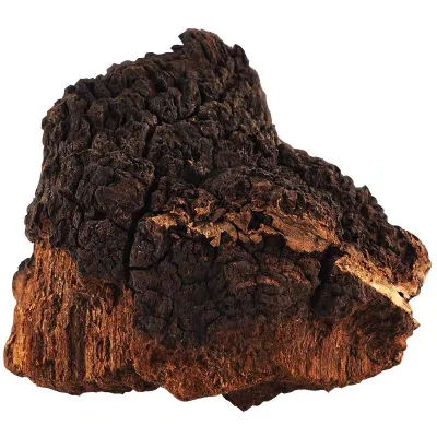Wild Dried Chaga Mushroom Chunk From Siberia