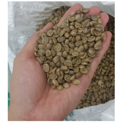 Wholesale Raw Coffee Beans Manufacturer 100% Arabic Green Coffee Beans Unroasted Beans
