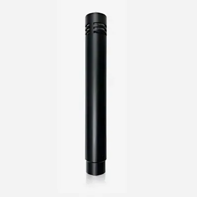 High Quality Teacher Supercardioid Microphone for Conferences Speeches
