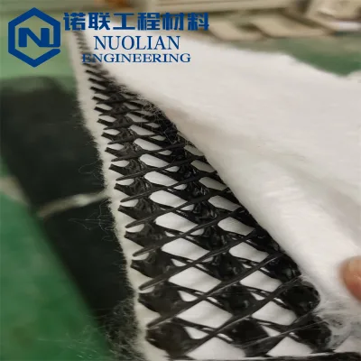 Nuolian 3D Composite Drainage Net, Widely Used in Drainage Works for Landfill Sites, Highway Subgrades and Tunnel Inner Linings