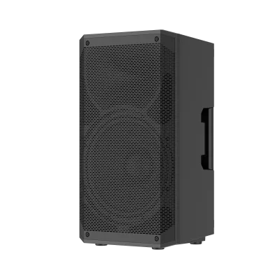 Professional 15 Inch Bluetooth Speaker with Wireless Microphone for Karaoke