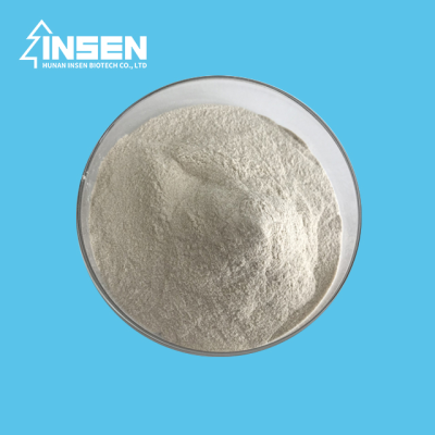 Enzyme Manufacturer Provide Alpha-Amylase Alpha Amylase
