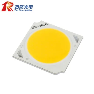 Round Lighting Area 18W 1919 COB LED Chip