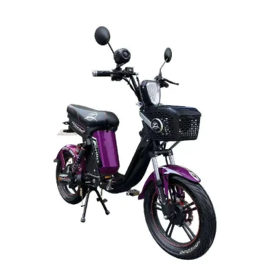 New Arrival 17 Inch Brushless Motor Electric Bicycle Folding Ebike 2000W