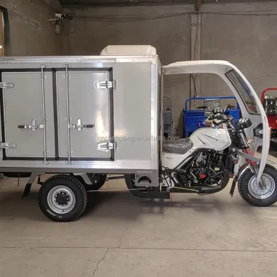 Hot-selling Frozen Food Refrigerated Electric Tricycle with 3 Wheels and Cold Box for Summer Delivery Mobile Food Preservation