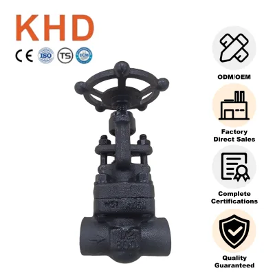 KHD Socket Weld Joint Manual Globe Valve 1/2" A105 Forged Type High Pressure 800LB Globe Valve