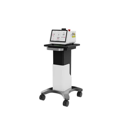 Multi-functions Diode Laser Laser Therapy Equipment
