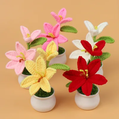 Handmade Knitted Woven Artificial Orchid Flower Pot Customizable Christmas Mother's Day Valentine's Day Halloween Gift for