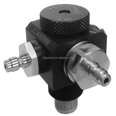 Hydrogen Storage Cylinder Pressure Reducing Valve Hydrogen Generator PEM Fuel Cell Technology Air Cooling High Hydrogen Hydrogen