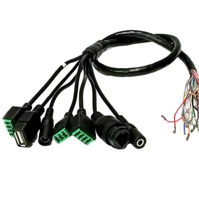 Customized Smart Machine Gate Network Access Control Tail Cable Face Recognition Camera Integrated DC Wiegand USB Functions PVC