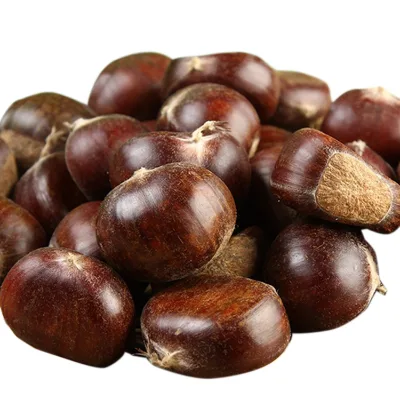 Best Organic Chestnut for Chinese New Year Freshly Roasted and Raw Sweet Taste Snack Bulk Packaging