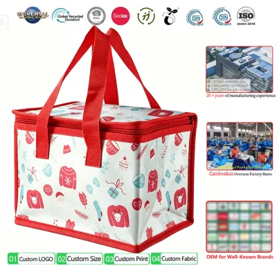 CW Cooler Handbag Manufacturer Custom Small Size Cooler Bag Light Weight Aluminum Foil Insulated Food Cooler Bag