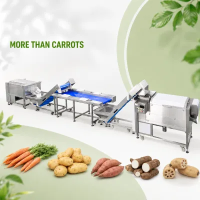 Automatic Carrot Cleaning Peeling Processing Line