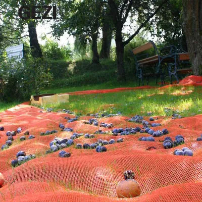 Hot Sale Olive Net - UV Resistant Fruit Drop Prevention Netting