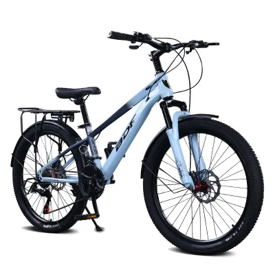 Wholesale 20/24/26 Inch MTB-21-Speed Mountain Bike for Adults with Steel Suspension Fork Disc Brake Cargo Rack