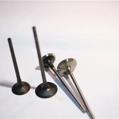 Hot Sales Forged Auto Parts Engine Valve Intake Valve Exhaust Valve for Porsche Panamera 3.0T OE 94810532102 94810532115