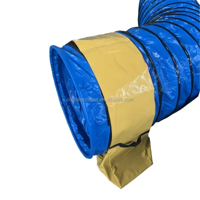 Dog Agility Training Open Tunnel