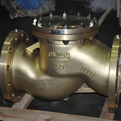 Brass Flanged Lift Check Valve High Pressure Oxygen Corrosion Resistant Hydraulic Gas