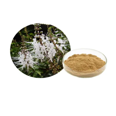 Natural Cat's Whiskers Extract Powder Sinensetin Orthosiphonari Status Extract  20:1