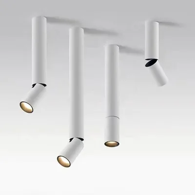Modern Minimalist LED Cylindrical Cob Downlight 300+100mm Adjustable Height Ceiling Tube Light