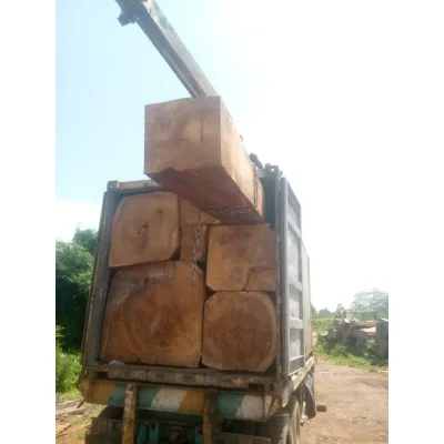 IROKO Roof Wood Supplier and Customize Wood Roof Structure for Architects and Builders From Nigeria