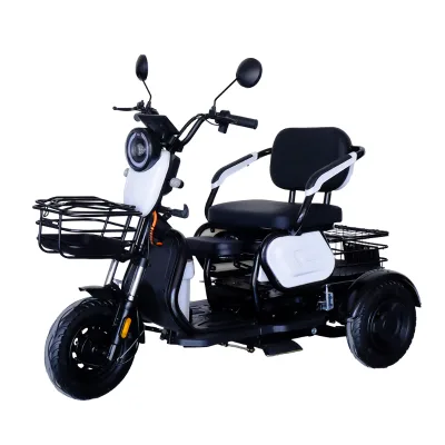 500W 48V 25Ah Lead Acid Battery Open Body Electric Tricycle 40KM Speed 30-50km Range Passenger Use TKA Cargo Trike
