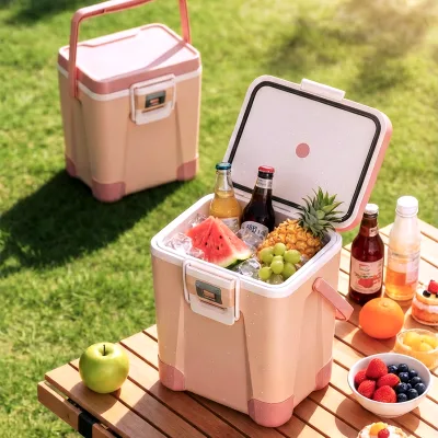 3-4 People Use 10L PP Plastic Injection Molded Insulated Portable Cooler Box for Outdoor Camping